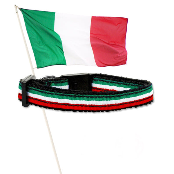 Italian Flag Stripe Pet Dog Collar, Made in the USA