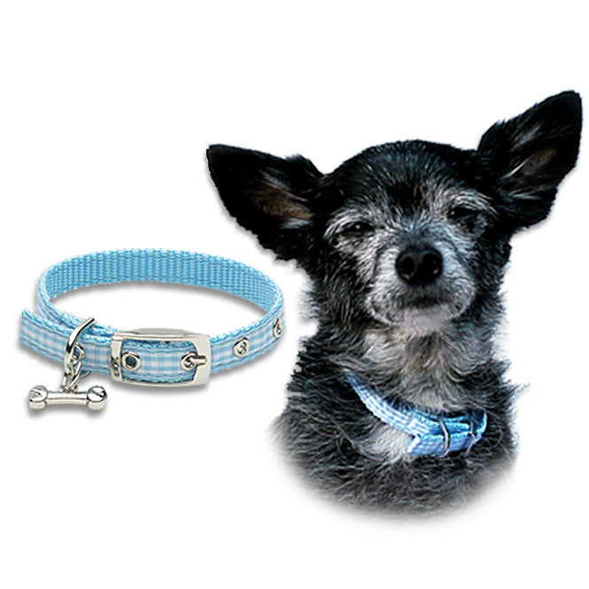 Pet Dog Collar Blue Gingham