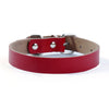 Leather Pet Dog Collar in Five Colors!