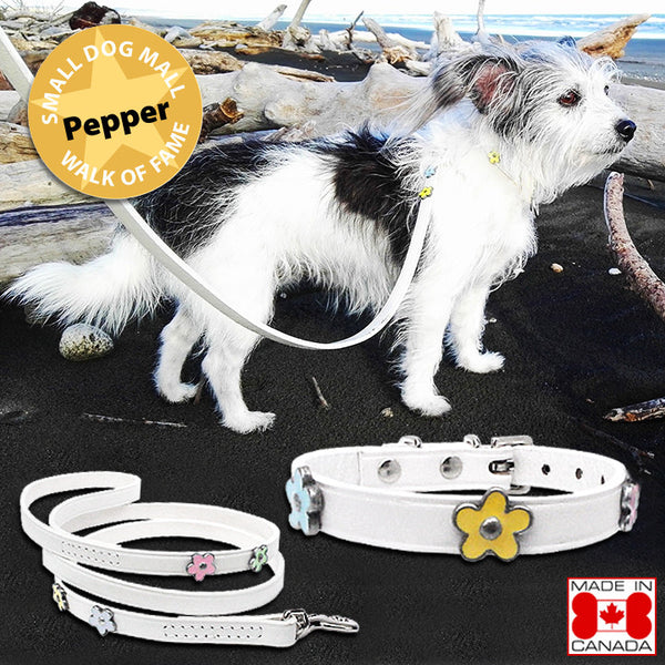 Pet Dog White Spring Daisy Leather Collar and Leash