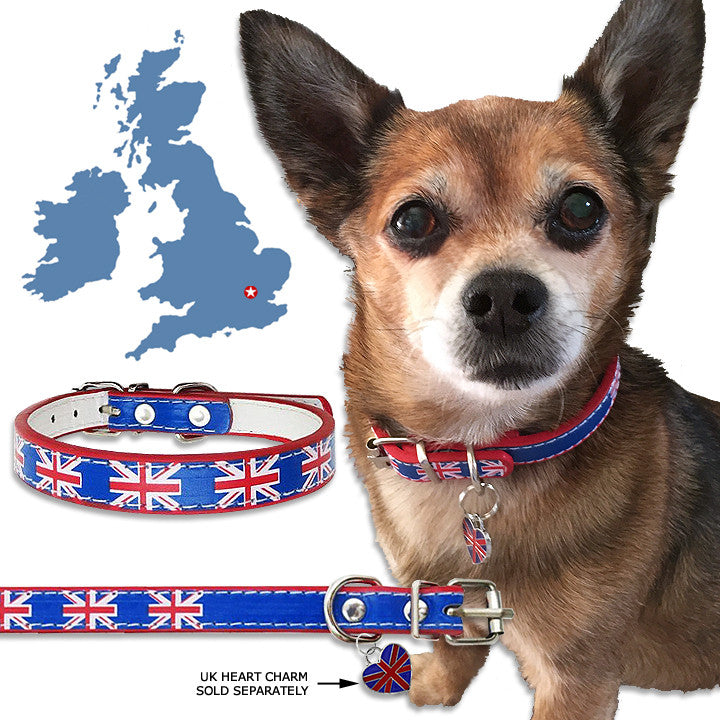 Small Dog Mall, British, United Kingdom, Union Jack, English Flag Small Dog Collar
