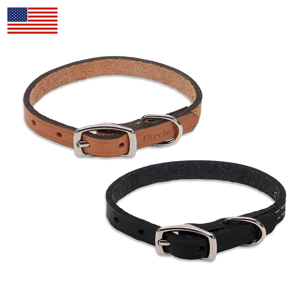Classic Leather Small Dog Collar
