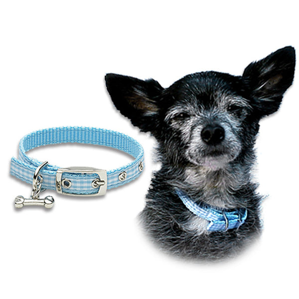 Blue Gingham Collar for Small Dogs