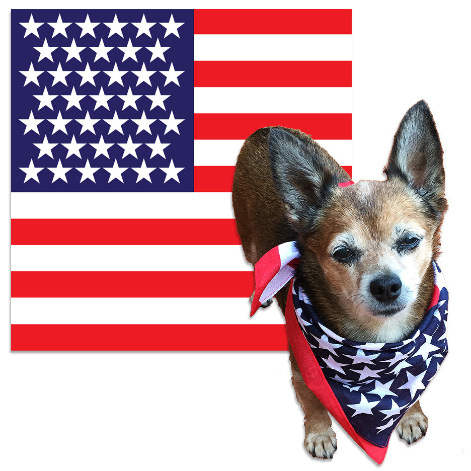 American Flag Dog Bandana – Wag the Flag!