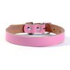 Small Dog Leather Collar in Five Colors!
