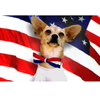 Red, White & Blue Small Dog Bow Tie Collar