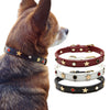 Stars & Crystals Dog Collar for Small Dogs