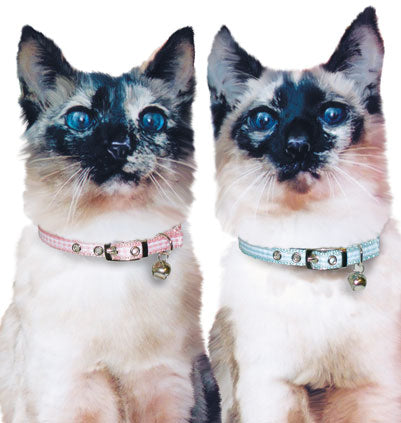 Pink or Blue Gingham Cat Safety Collar
