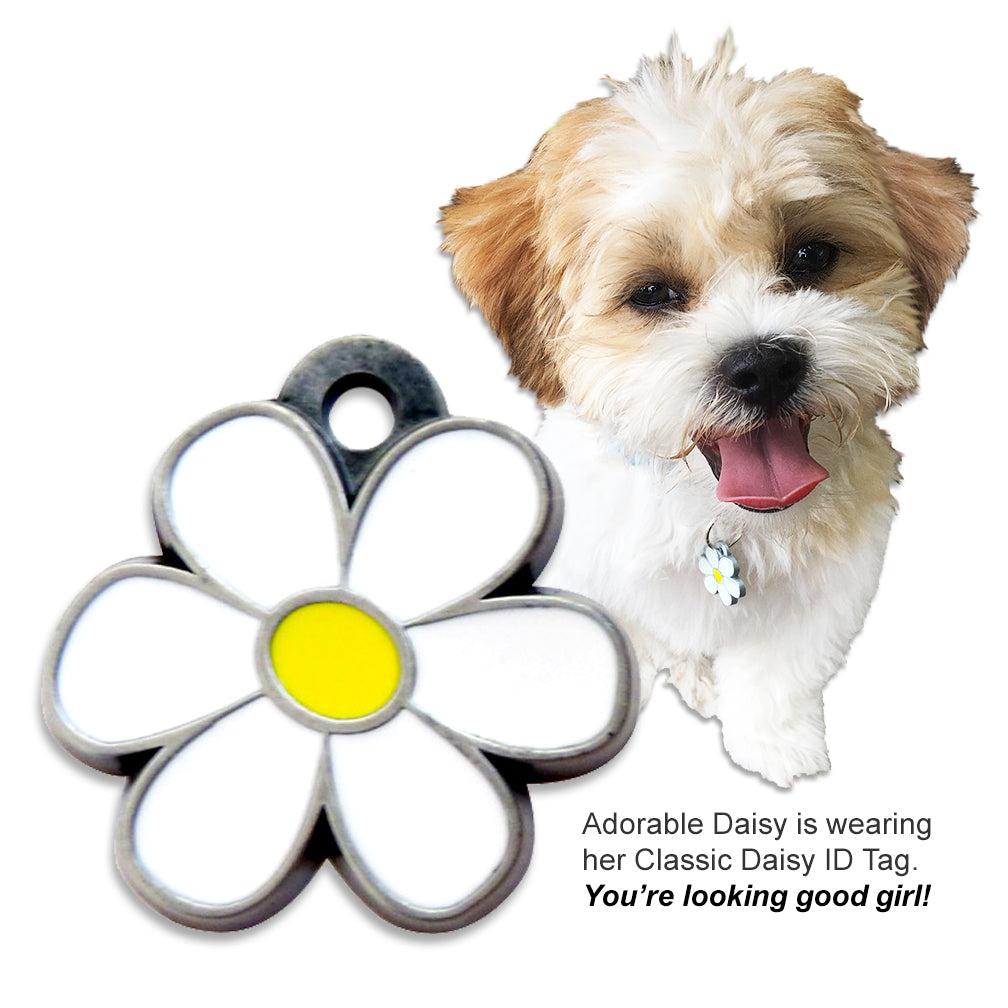 Our Most Popular Tag: Classic Enameled Daisy Dog ID Tag for Small Dogs