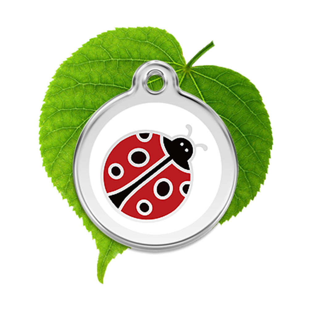 Ladybird ID Tag, , ID Tag, Small Dog Mall, Small Dog Mall - Good things for little dogs.  - 1