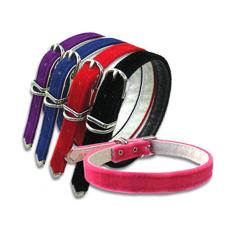 Velvet Dog Collars – Elegant & Rich, , Collar, Small Dog Mall, Small Dog Mall - Good things for little dogs.  - 1